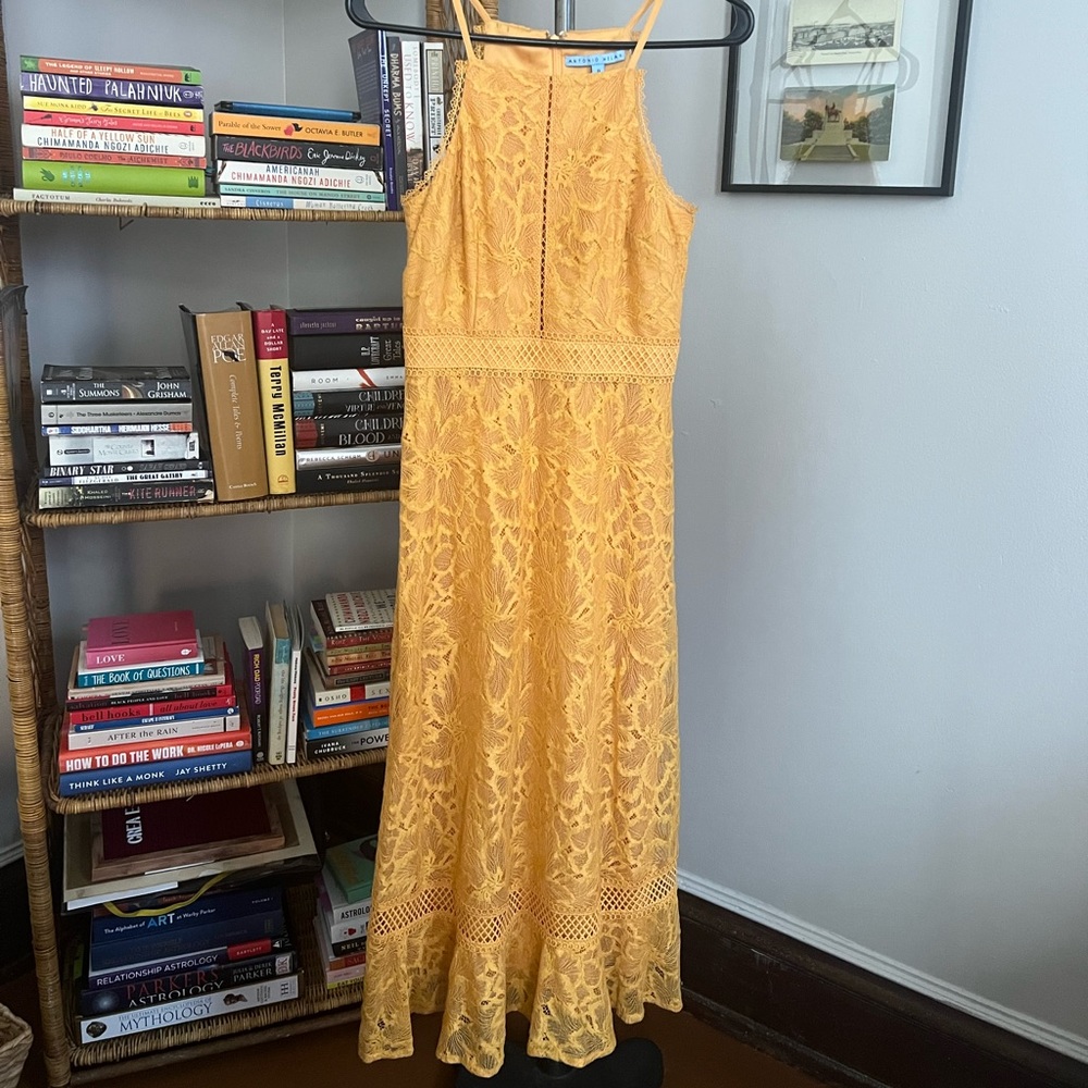 Antonio Melani Yellow Midi Dress